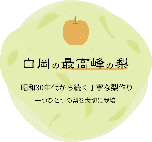 昭和30年代から続く丁寧な梨作り